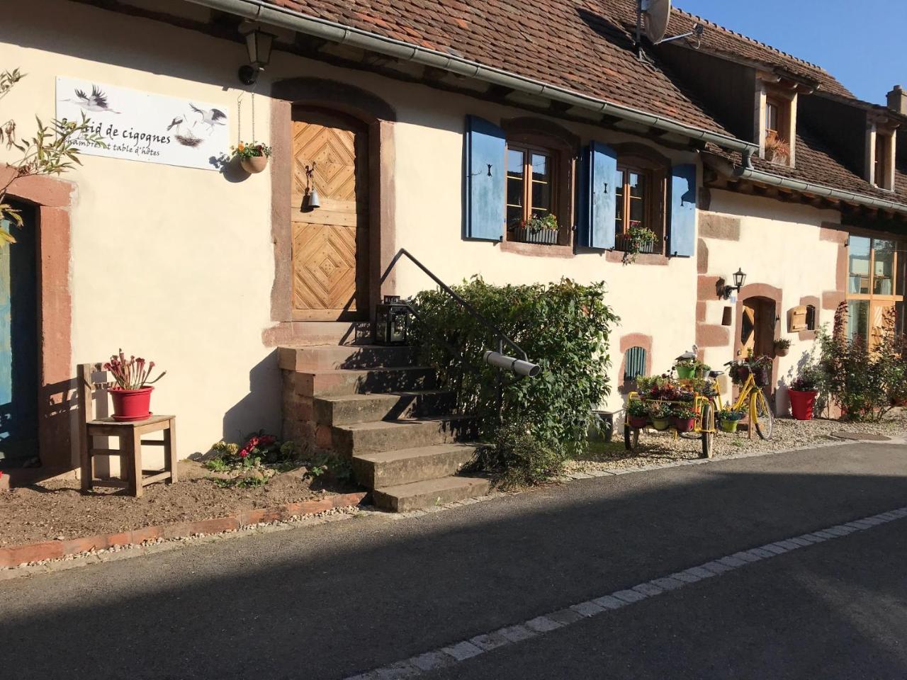 Le Nid De Cigognes Hotel Hengwiller Exterior photo